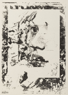2022.096.0379.jpg